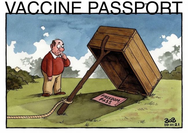 Vaccine passport