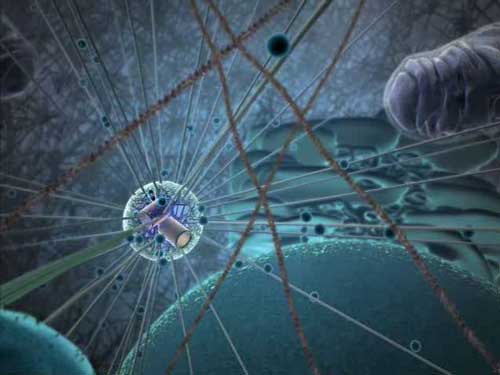 Inner Life of the Cell (vidéo - Harvard)